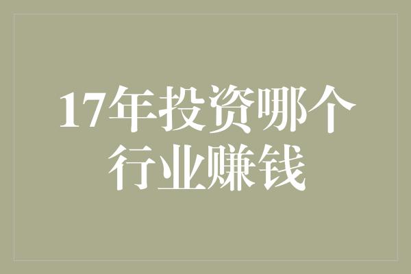 17年投资哪个行业赚钱