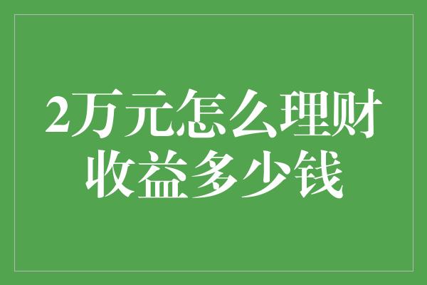 2万元怎么理财收益多少钱