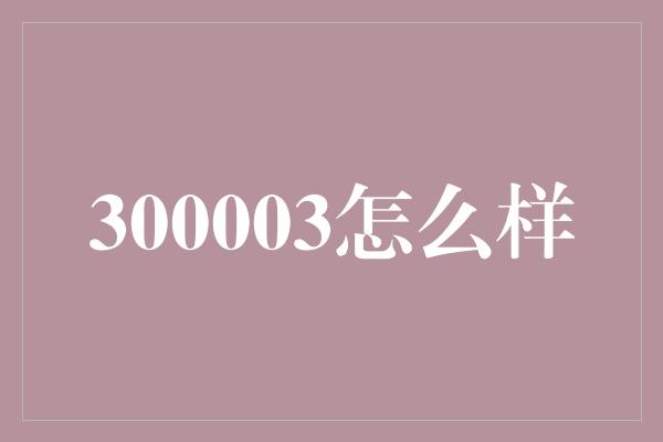 300003怎么样