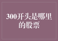 300开头的股票：创业板的活力源泉