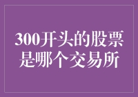 300开头的股票为何会引发广泛关注：揭秘创业板的神秘面纱