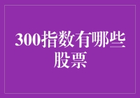 300指数股票：一场不务正业的求生游戏