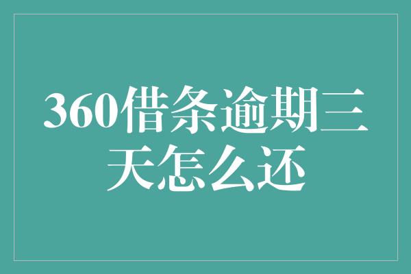 360借条逾期三天怎么还