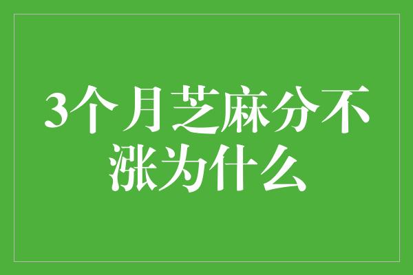 3个月芝麻分不涨为什么