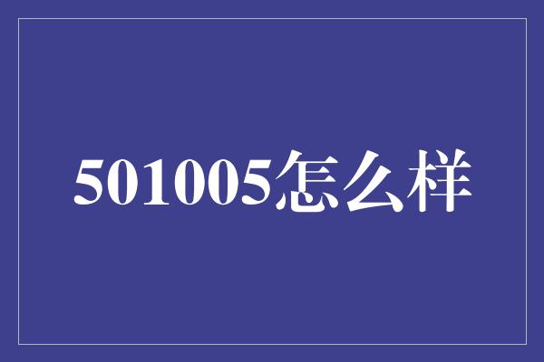 501005怎么样