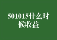 501015定投：文明考验，收益博弈