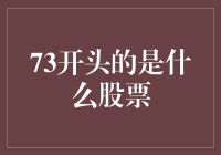 73开头的秘密：从股市谜语看投资智慧