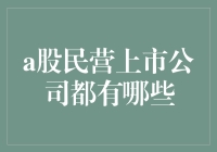 A股民营上市公司大盘点：谁是下一个卧龙凤雏？