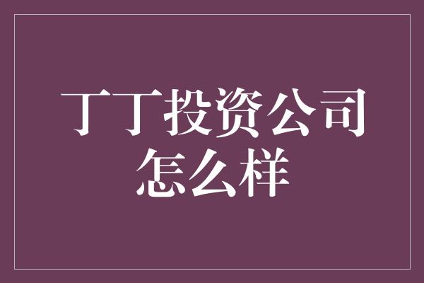 丁丁投资公司怎么样