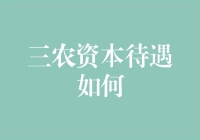 三农资本待遇改善：构建农村可持续发展的基石