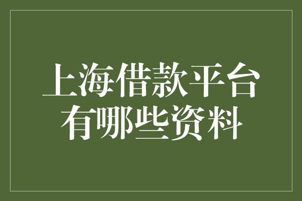 上海借款平台有哪些资料