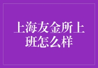 上海友金所工作体验深度解析：职业成长与企业文化的双重考量