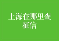 探寻上海征信报告的秘密：高效查询指南