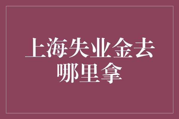 上海失业金去哪里拿