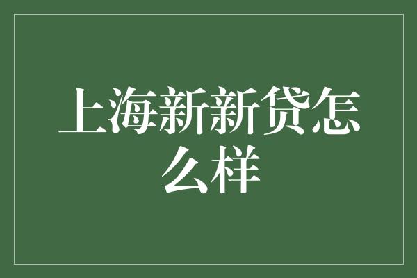 上海新新贷怎么样