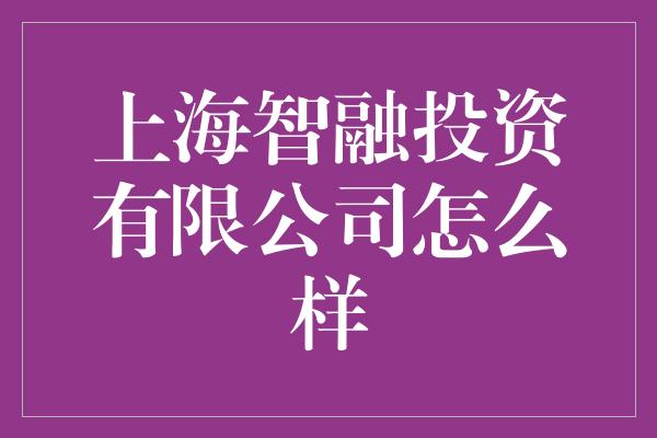 上海智融投资有限公司怎么样