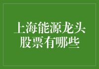 投资界的小菜鸟：如何在上海寻找那些能源之龙？