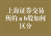 上海证券交易所A股与B股的区别及其投资策略