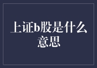 上证B股：投资者眼中的双面镜市场？