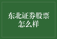 东北证券股票：稳健发展的价值投资标的