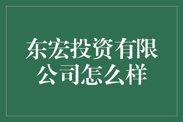 东宏投资有限公司怎么样