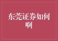 东莞证券：深耕广东，誉满华南的金融服务典范