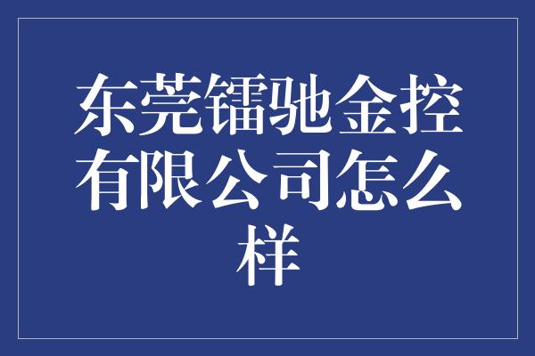 东莞镭驰金控有限公司怎么样