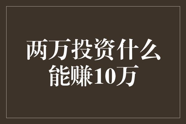 两万投资什么能赚10万