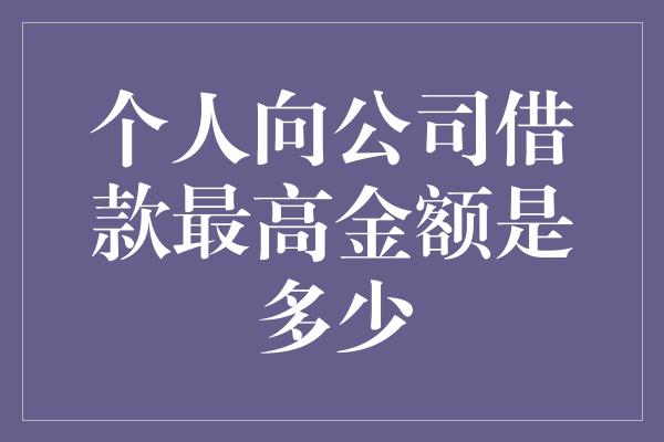 个人向公司借款最高金额是多少