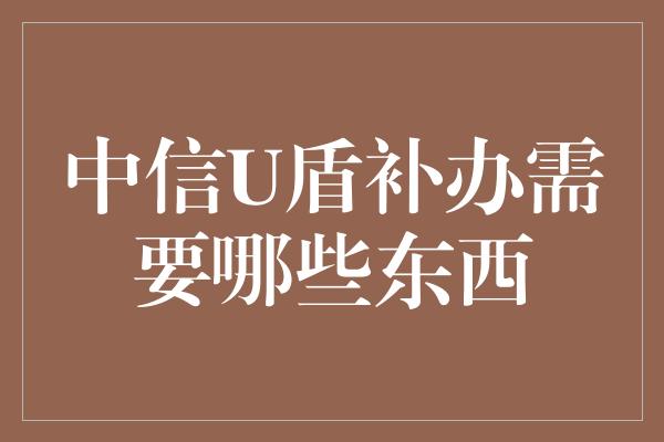 中信U盾补办需要哪些东西