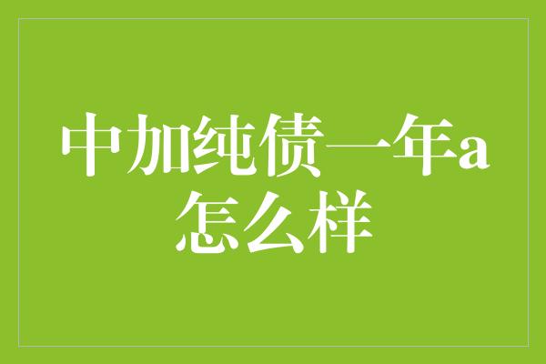 中加纯债一年a怎么样