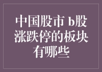 中国股市B股涨跌停板块分析：机遇与挑战并存