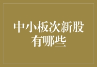 中小板次新股掘金指南：潜力股与投资策略分析