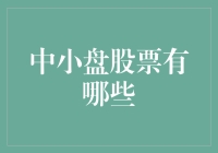 中小盘股票投资的独特视角：探索未被发掘的潜力股