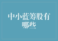 中小蓝筹股：稳定收益与成长潜力的完美结合