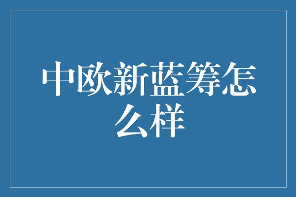 中欧新蓝筹怎么样