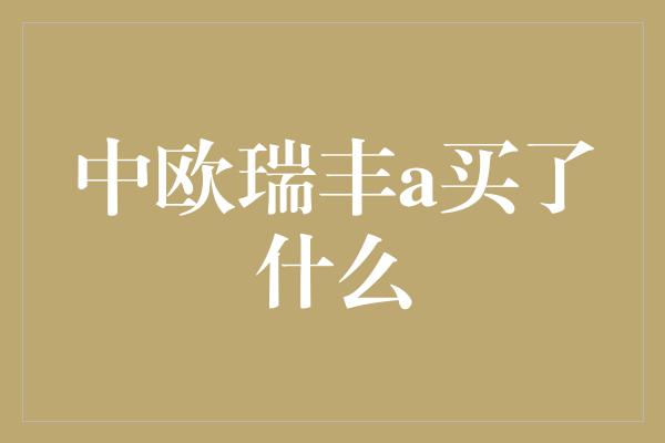 中欧瑞丰a买了什么