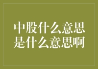 中股是什么意思？是我妈炒股的账号？