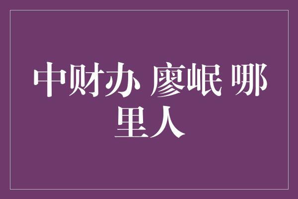 中财办 廖岷 哪里人