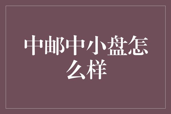 中邮中小盘怎么样