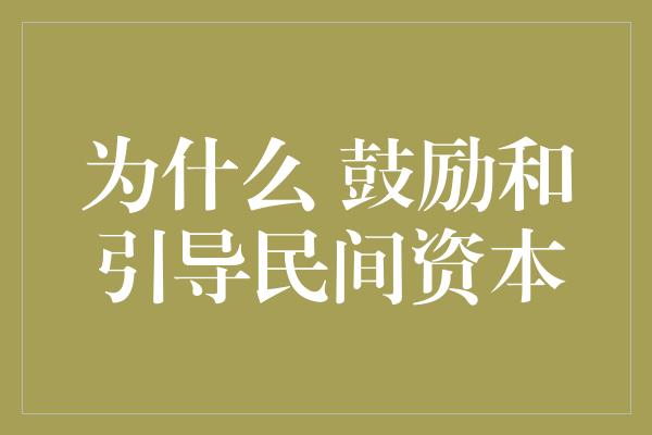 为什么 鼓励和引导民间资本