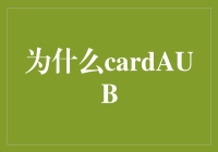 在大数据时代，为什么CardAUB成为企业决策的数据引擎