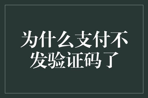 为什么支付不发验证码了