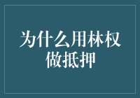 用林权作为抵押品：推动绿色金融发展的创新模式