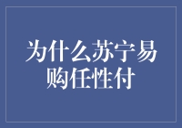 苏宁易购任性付：金融创新引领消费新体验