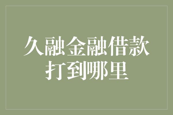 久融金融借款打到哪里