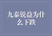 九泰锐益下跌之谜：探寻投资背后的风险因素