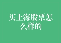 上海股票市场分析：投资机会与风险评估