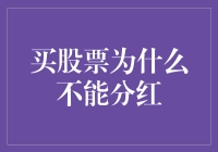 股票未分红背后的多重考量：投资者的权益边界与企业战略抉择