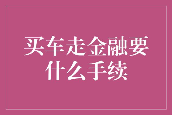 买车走金融要什么手续